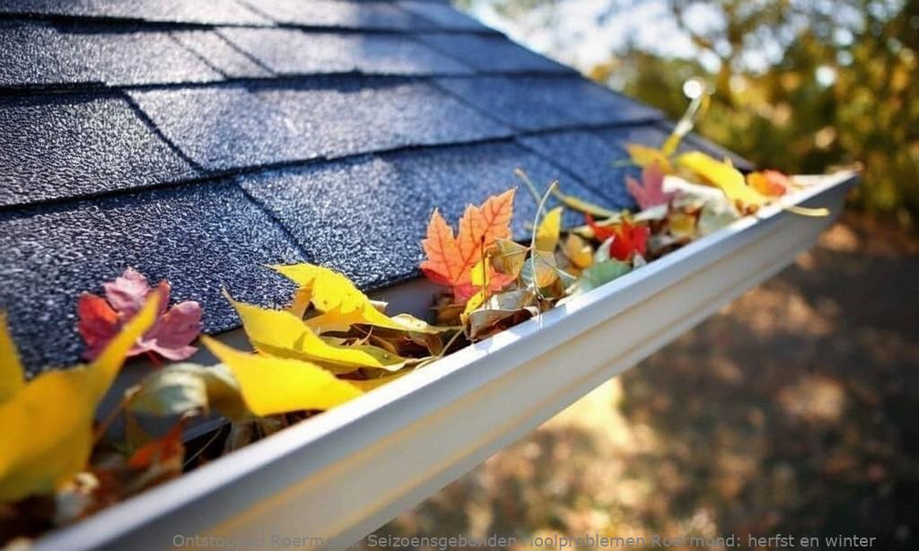 Seizoensgebonden rioolproblemen Roermond: herfst en winter